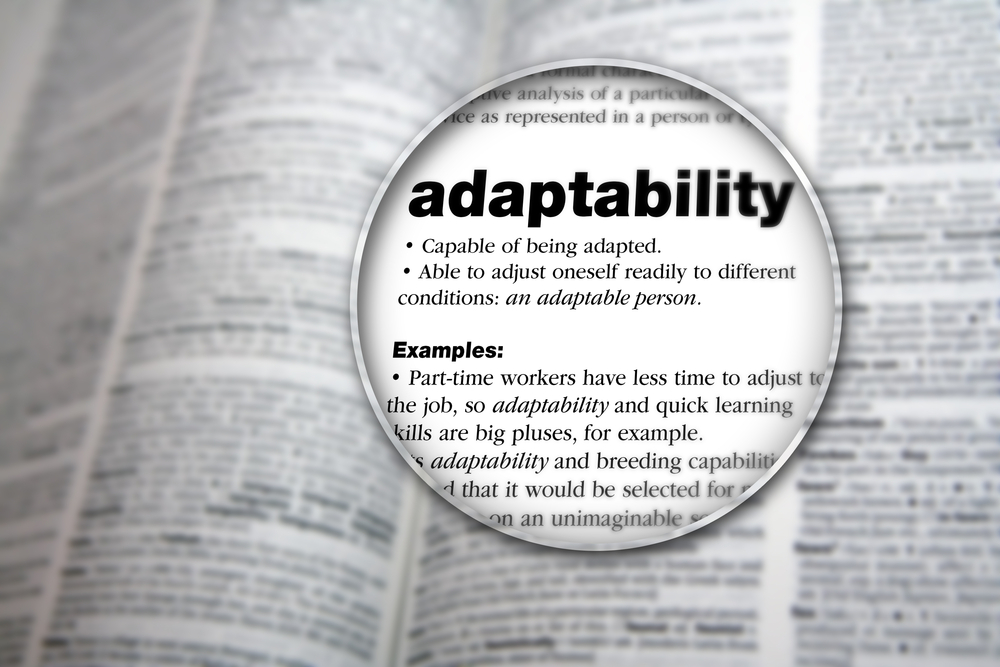 5. Adaptability is key.